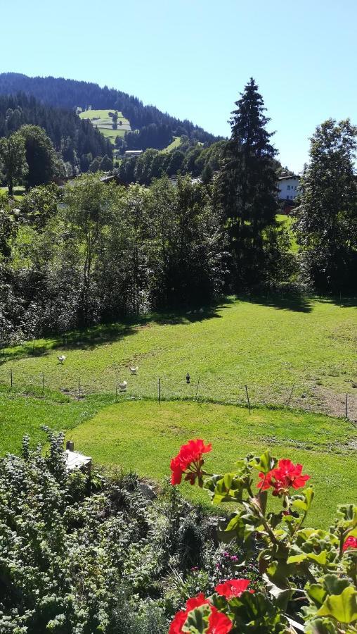 Appartement Maurer Niederau Eksteriør billede